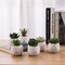 Mini Assorted Green Faux Succulent, Indoor Fake Plants in Geometric Ceramic Pots, Set of 6